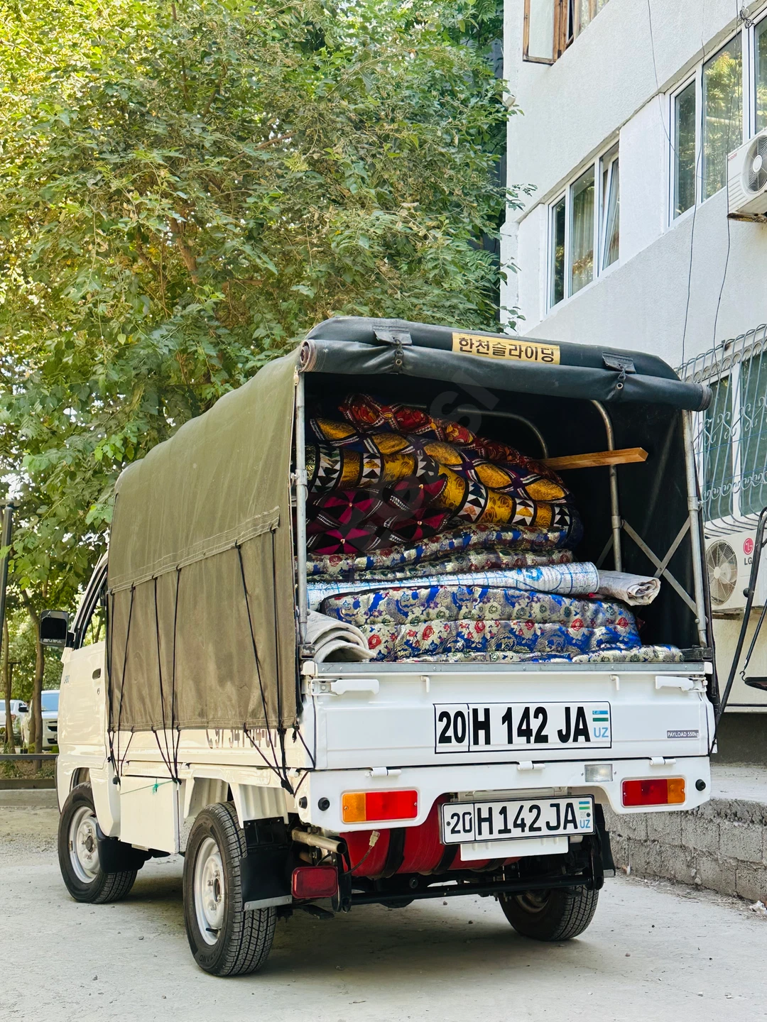 labo xizmati Toshkentdan Gulistonga — rasm 4/6